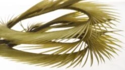 Semperfli Inferno Goose Biots -Fly Fish Food Store Inferno Olive Dun