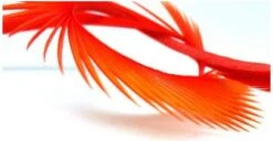 Semperfli Inferno Goose Biots -Fly Fish Food Store Inferno Red Yellow