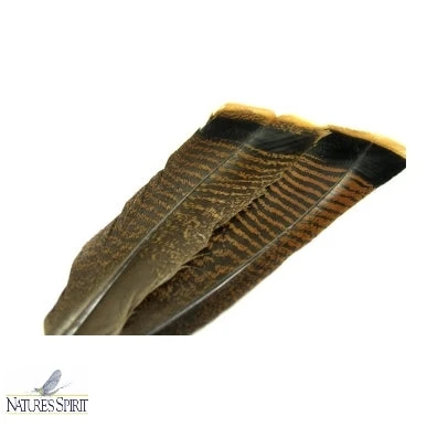 Ozark Oak Mottled Turkey Tail - Select Pair 3 Ozark Oak Mottled Turkey Tail - Select Pair