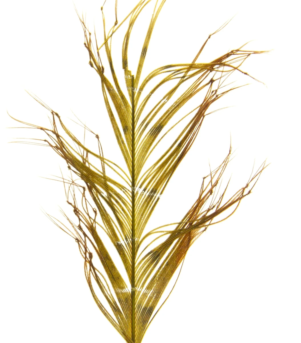 Semperfli Knotted Cranefly Legs 5 Semperfli Knotted Cranefly Legs - Image 3