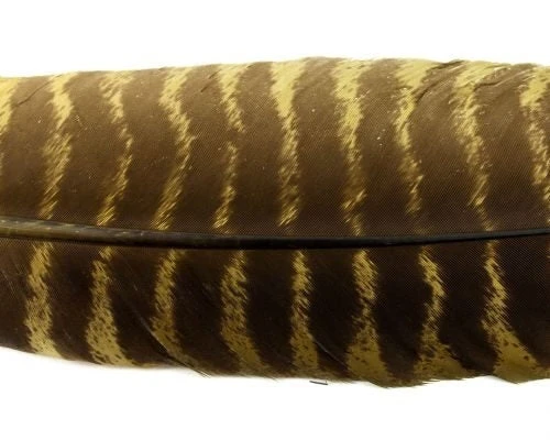 Nature's Spirit Select Ozark Barred Turkey Quills 3 Nature's Spirit Select Ozark Barred Turkey Quills