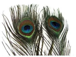 Hareline Peacock Eye Sticks