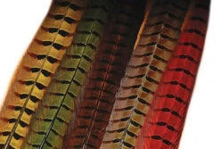 Hareline Ringneck Pheasant Tail