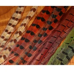 Hareline UV2 Ringneck Pheasant Tail