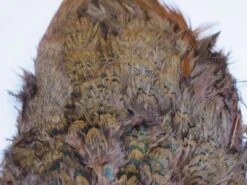 Fish Hunter Ringneck Pheasant Rump Patch -Fly Fish Food Store Rump Brown