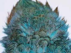 Fish Hunter Ringneck Pheasant Rump Patch -Fly Fish Food Store Rump Fl. Blue