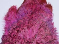 Fish Hunter Ringneck Pheasant Rump Patch -Fly Fish Food Store Rump Fl. Hot Pink