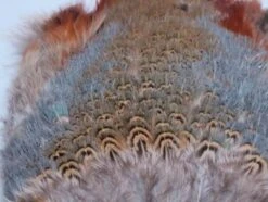 Fish Hunter Ringneck Pheasant Rump Patch -Fly Fish Food Store Rump Natural