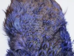 Fish Hunter Ringneck Pheasant Rump Patch -Fly Fish Food Store Rump Purple