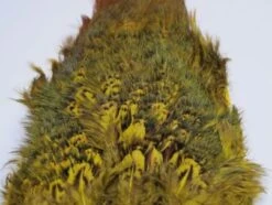 Fish Hunter Ringneck Pheasant Rump Patch -Fly Fish Food Store Rump Yellow