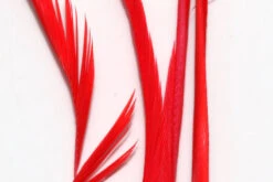 Hareline Stripped Goose Biots -Fly Fish Food Store SGB139