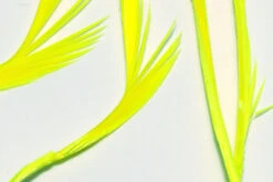 Hareline Stripped Goose Biots -Fly Fish Food Store SGB142