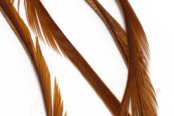 Hareline Stripped Goose Biots -Fly Fish Food Store SGB149