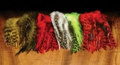 Hareline Strung 4-6" Grizzly Variant Saddle Hackle