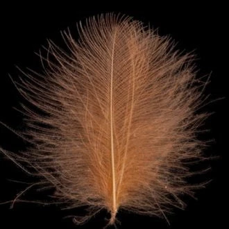 Swiss CDC 100% Natural Dyed Grade 3 Swiss CDC 100% Natural Dyed Grade