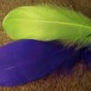 Select Goose Shoulder Feathers -Fly Fish Food Store SelectGooseShoulder