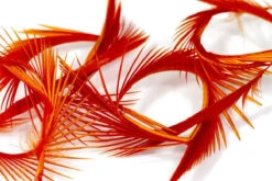 Semperfli Inferno Goose Biots -Fly Fish Food Store SempGB 4