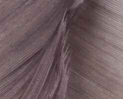 Hareline Turkey Biot Quills -Fly Fish Food Store TBQ165