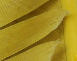 Hareline Turkey Biot Quills -Fly Fish Food Store TBQ277