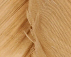 Hareline Turkey Biot Quills -Fly Fish Food Store TBQ50