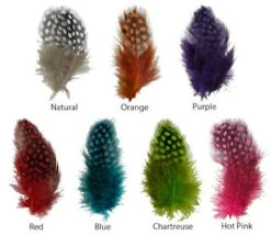 Hareline UV2 Large Eyed Guinea