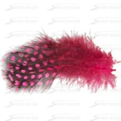 Hareline UV2 Large Eyed Guinea -Fly Fish Food Store UV2GUIN 4