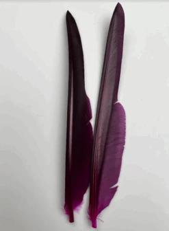 Canada Goose Biot Quills -Fly Fish Food Store dyedfuchsia