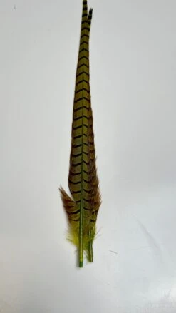 Pheasant Tail Center Pairs -Fly Fish Food Store image1 2