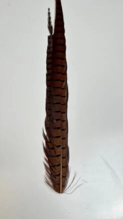 Pheasant Tail Center Pairs -Fly Fish Food Store image3 2