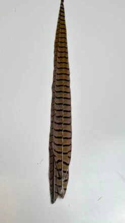 Pheasant Tail Center Pairs -Fly Fish Food Store image5 2