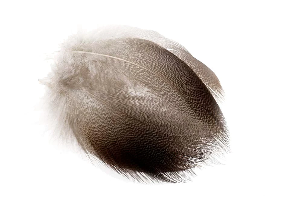 Wapsi Bronze Mallard Flank