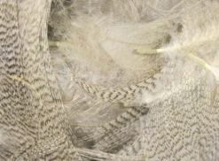 Hareline Mallard Flank -Fly Fish Food Store mf242