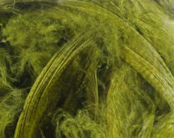 Hareline Mallard Flank -Fly Fish Food Store mf263