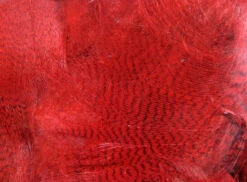 Hareline Mallard Flank -Fly Fish Food Store mf310