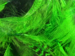 Hareline Mallard Flank -Fly Fish Food Store mf34