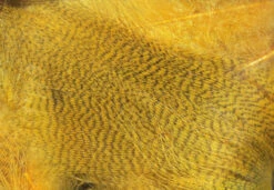 Hareline Mallard Flank -Fly Fish Food Store mf381