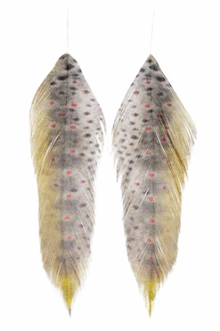 MFC - Galloup's Fish Feathers -Fly Fish Food Store mossybrown
