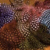 Hareline Strung Guinea Feathers -Fly Fish Food Store sgfnewa