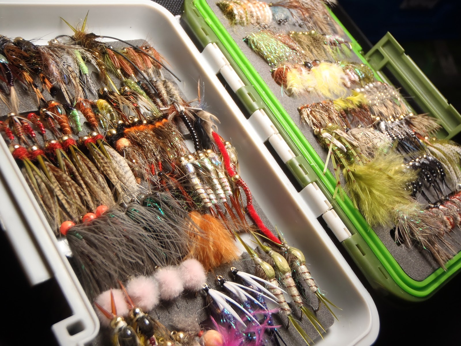 Fly Fish Food Store -Fly Fish Food Store IrideusChicoFlyBoxReview 034